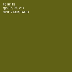 #616115 - Spicy Mustard Color Image
